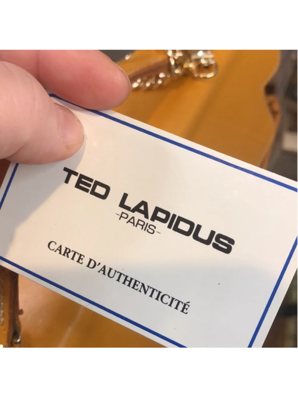 Ted Lapidus ted lapidus