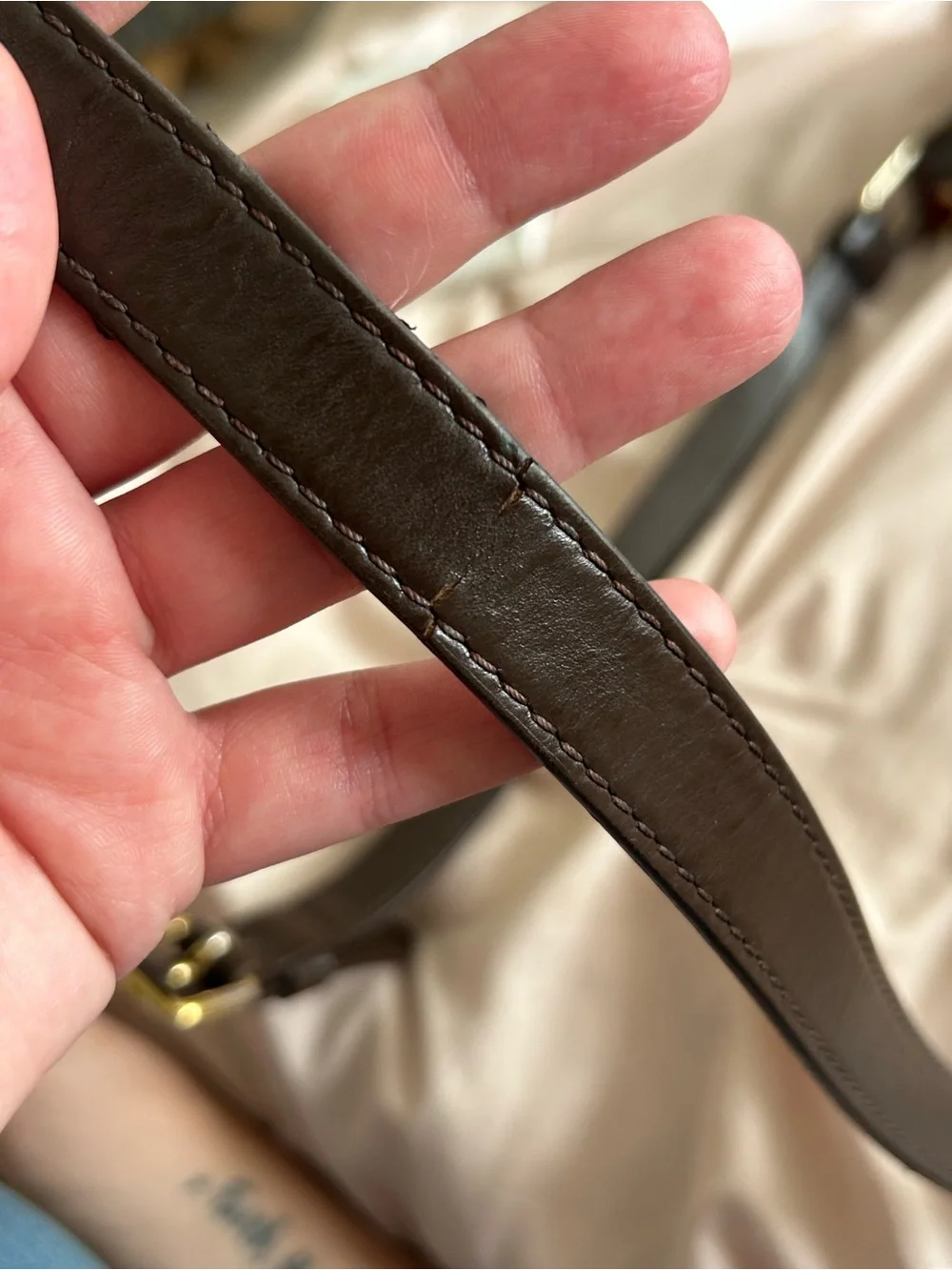Louis Vuitton authentic louis
