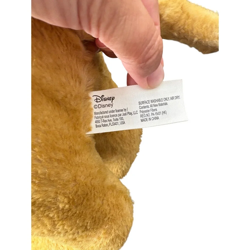 Disney details lion