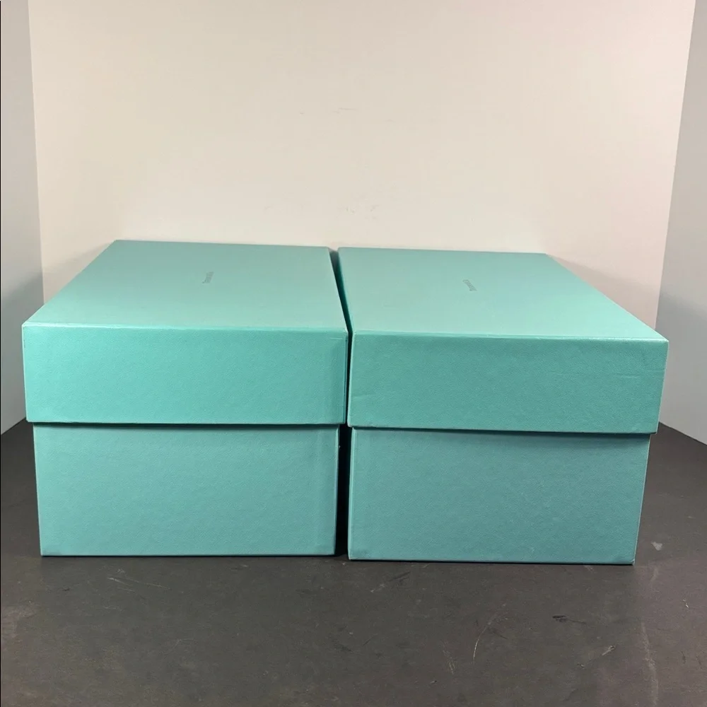 Tiffany & Co. set authentic