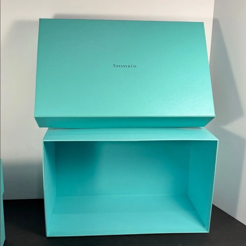 Tiffany & Co. set authentic