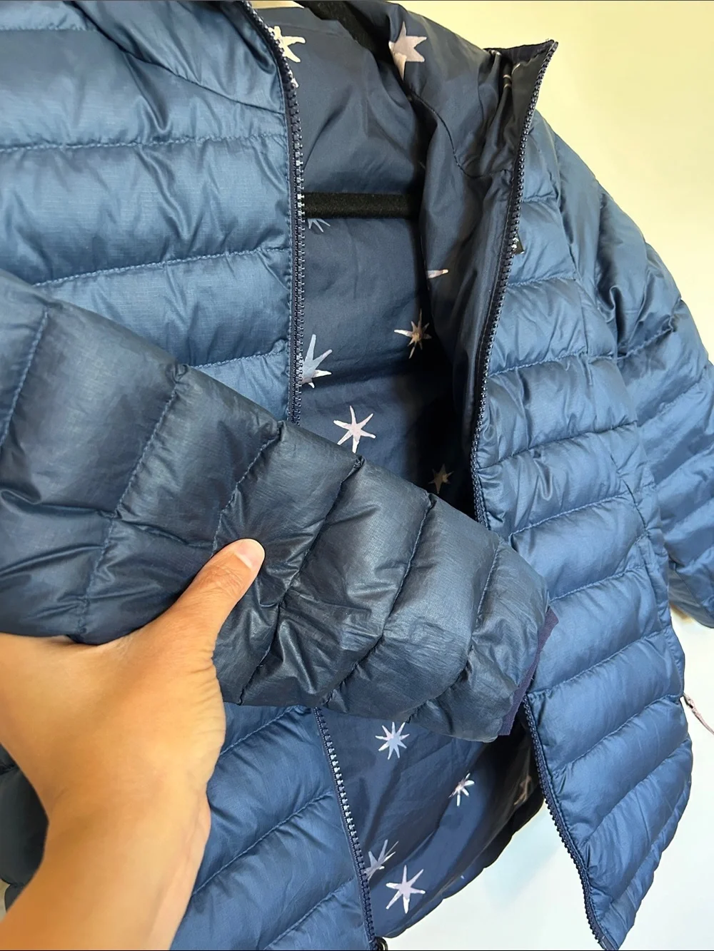 Patagonia puffer reversible front