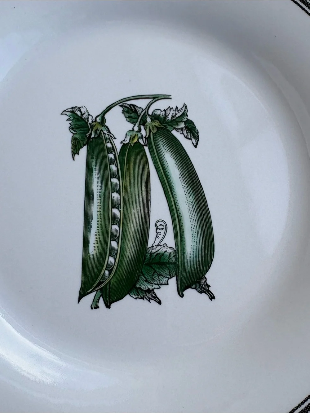 Pfaltzgraff simple vintage trinket