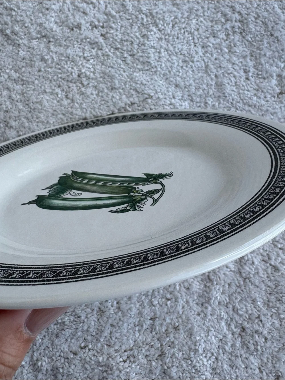 Pfaltzgraff simple plate field