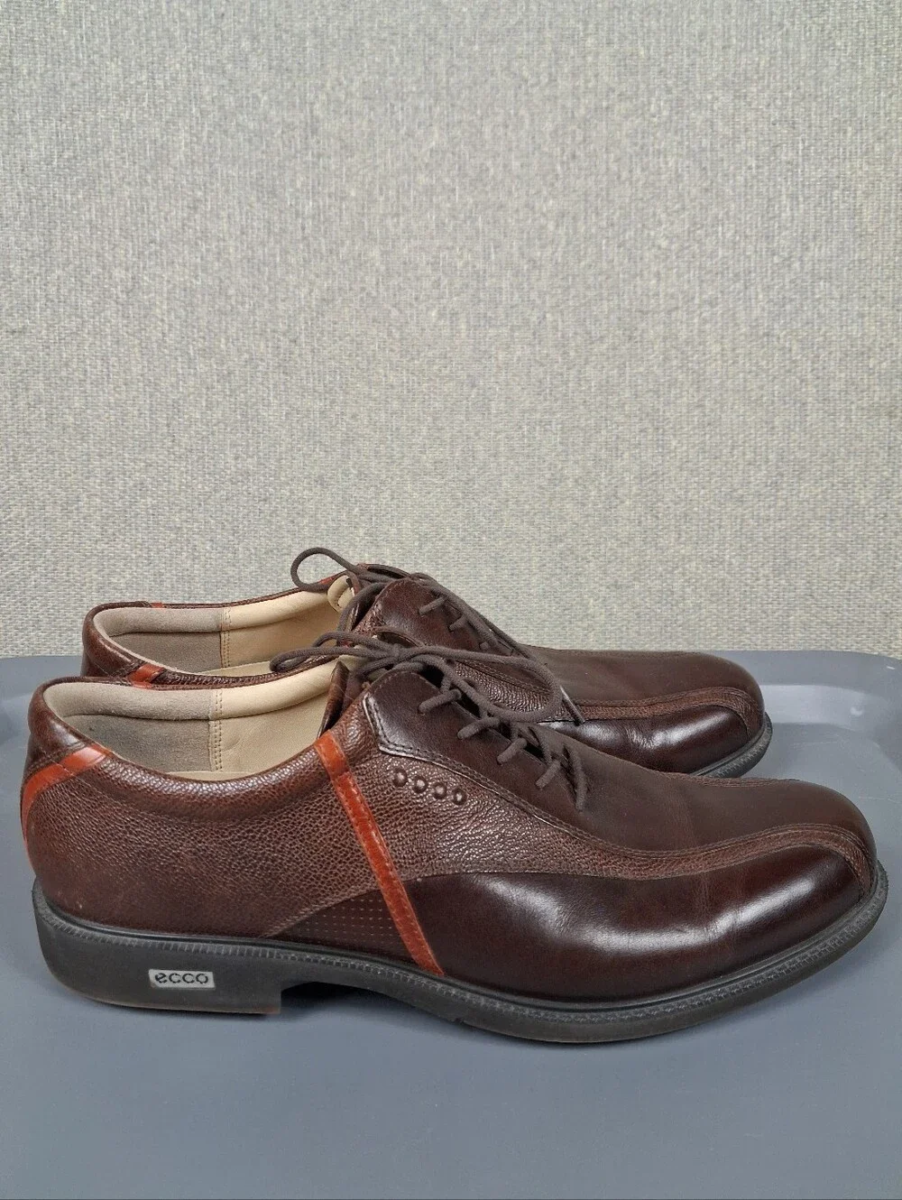 Ecco tour hybrid