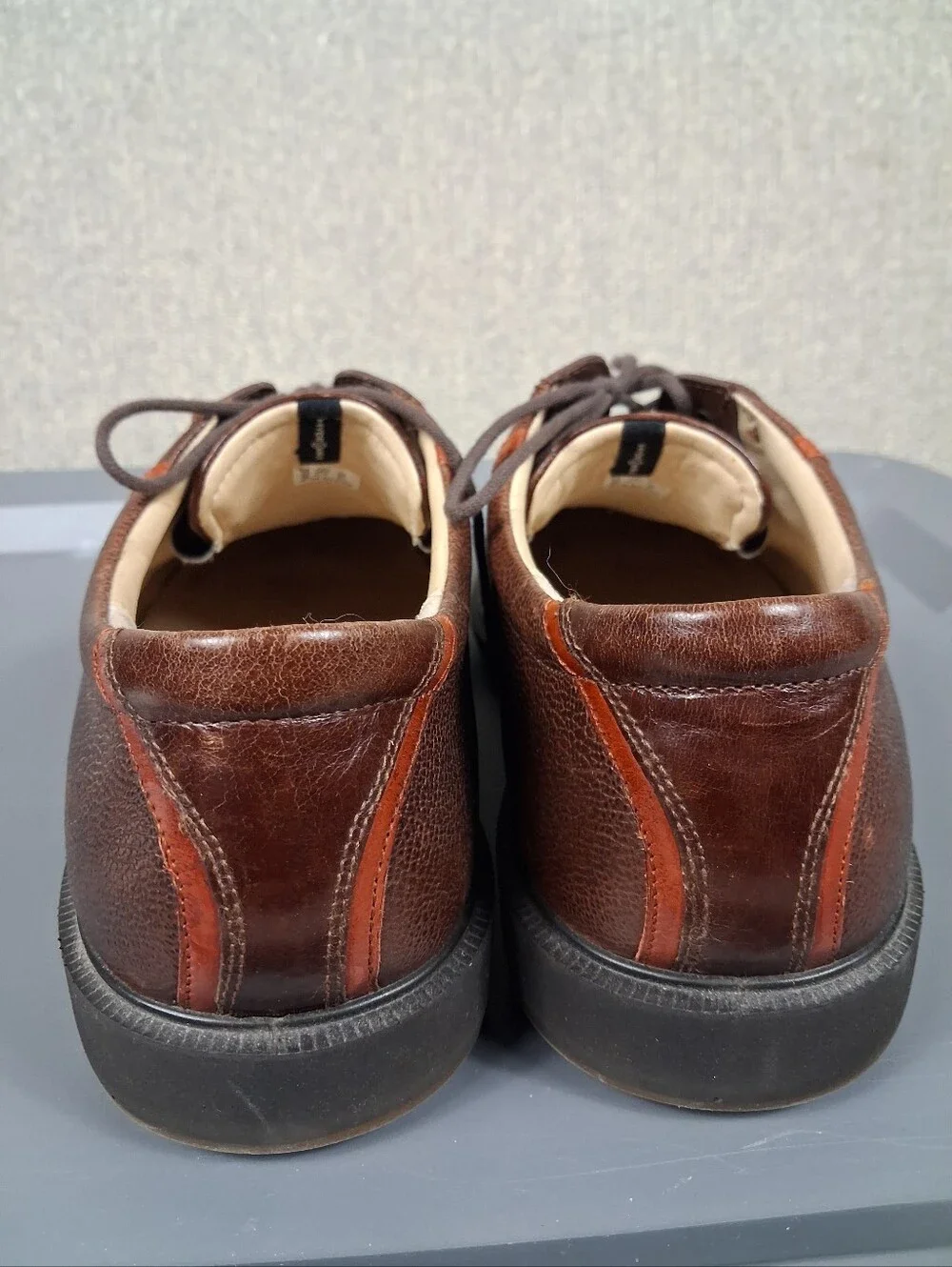 Ecco tour hybrid