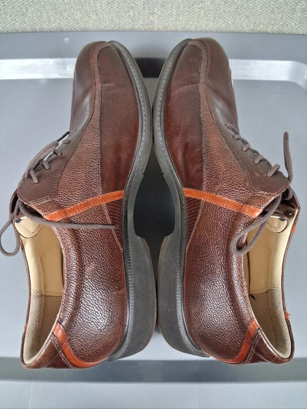 Ecco tour hybrid