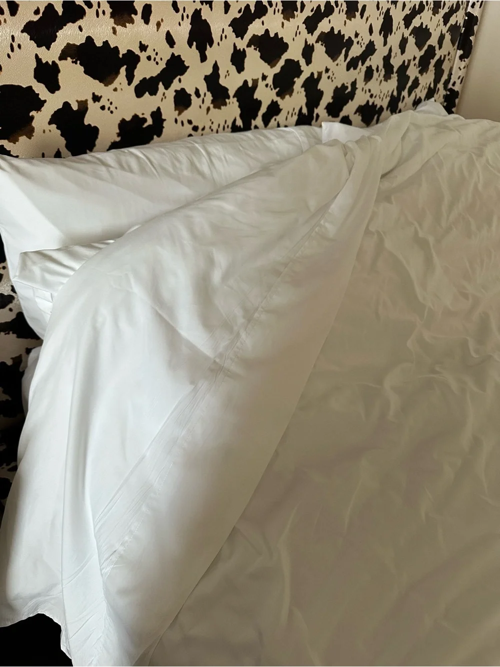 Monarch soft white