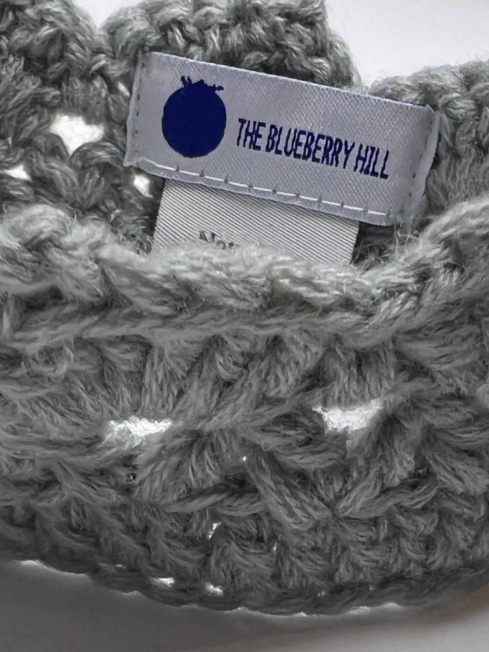 The Blueberry Hill bought newborn