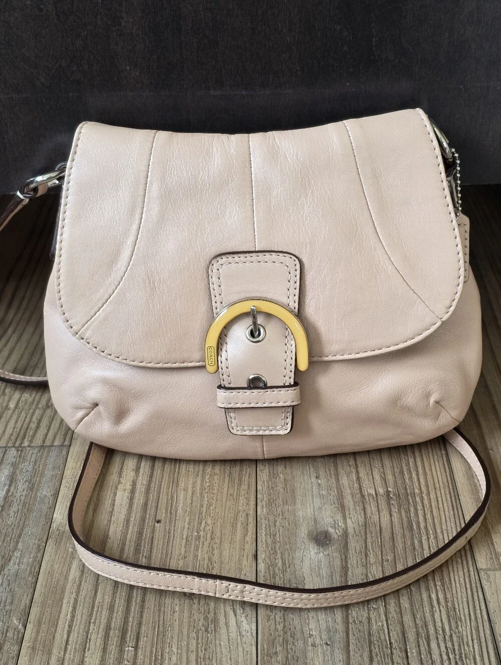 Coach Blush Pink Leather Crossbody with Gold-Tone Buckle