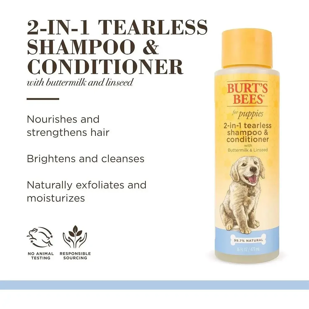 Burts Bees burt bees