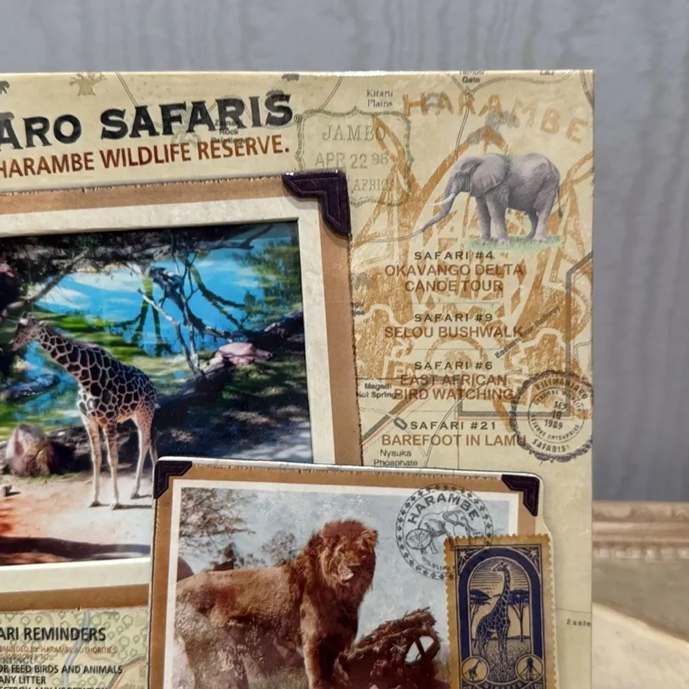 Disney my kilimanjaro