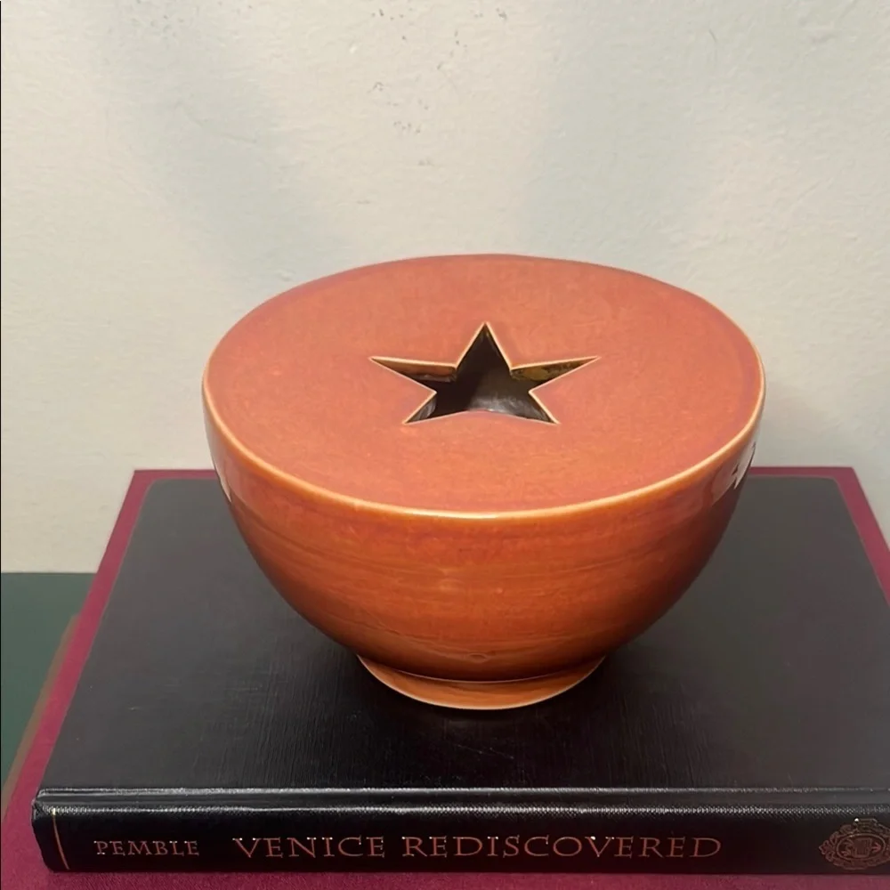 Coral‎ Handmade Pottery Star Cutout Flower Vase