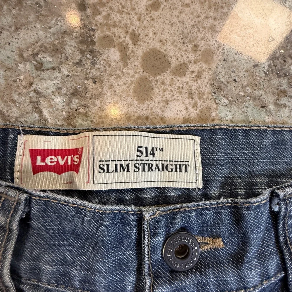 Levis levi strauss