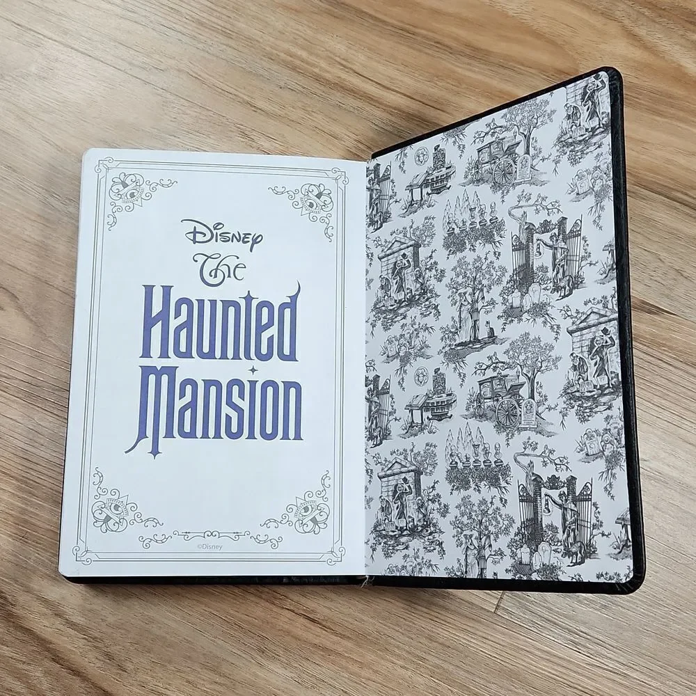🔺️NWT Disney Black & Silver 