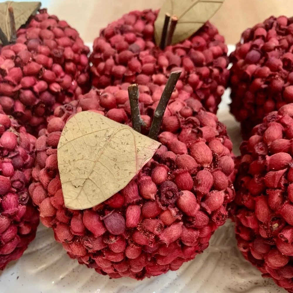 Set of 6 Decorative Red Apples Size 4x4