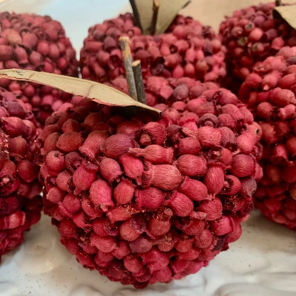 Set of 6 Decorative Red Apples Size 4x4
