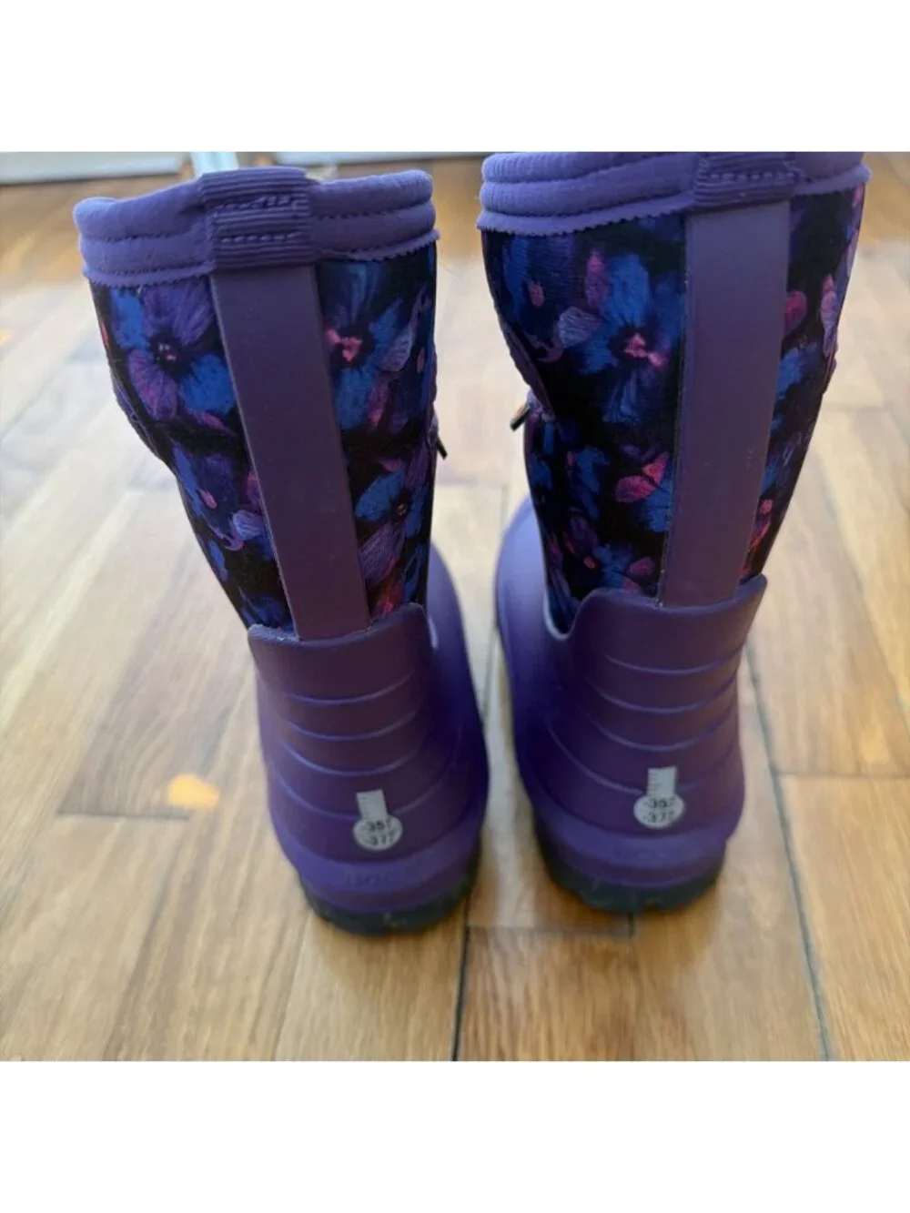Bogs walking winter months