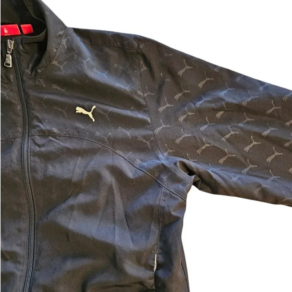 Puma vintage logo