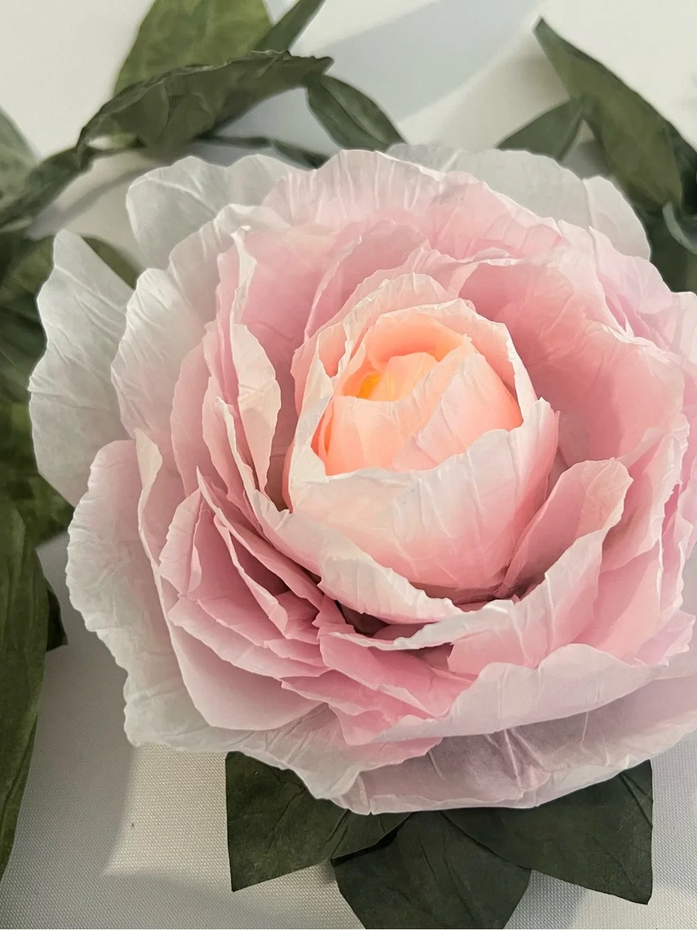 Made in USA soft pink