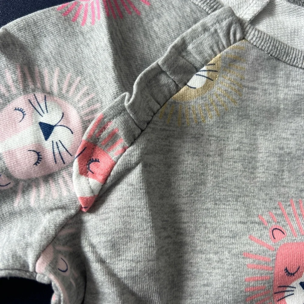 Carter's Toddler Girls 2-Piece Lion‎ Gray Sweatshirt & Jogger Pants Set Size 4T