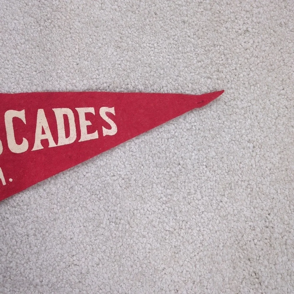 2 The Cascades Jackson Michigan MI Felt‎ Pennant Vintage Travel Souvenir 40s 50s