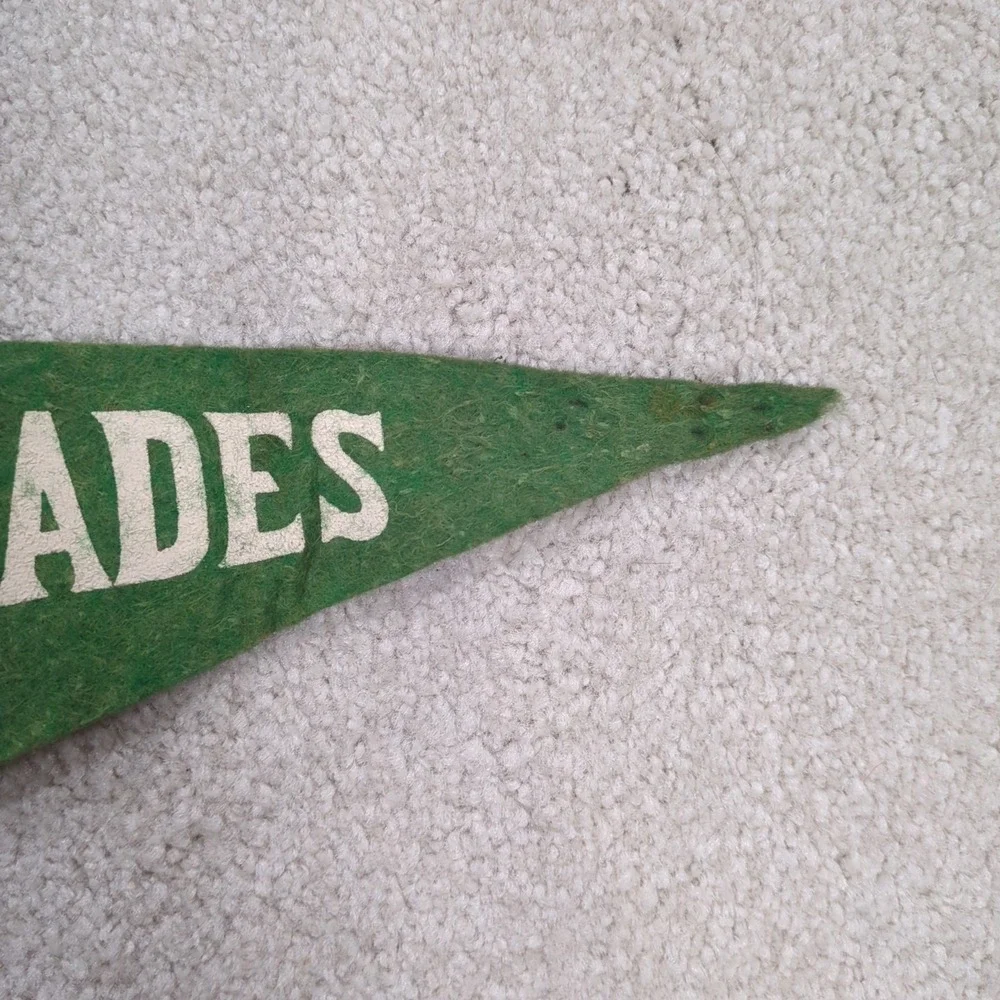 2 The Cascades Jackson Michigan MI Felt‎ Pennant Vintage Travel Souvenir 40s 50s