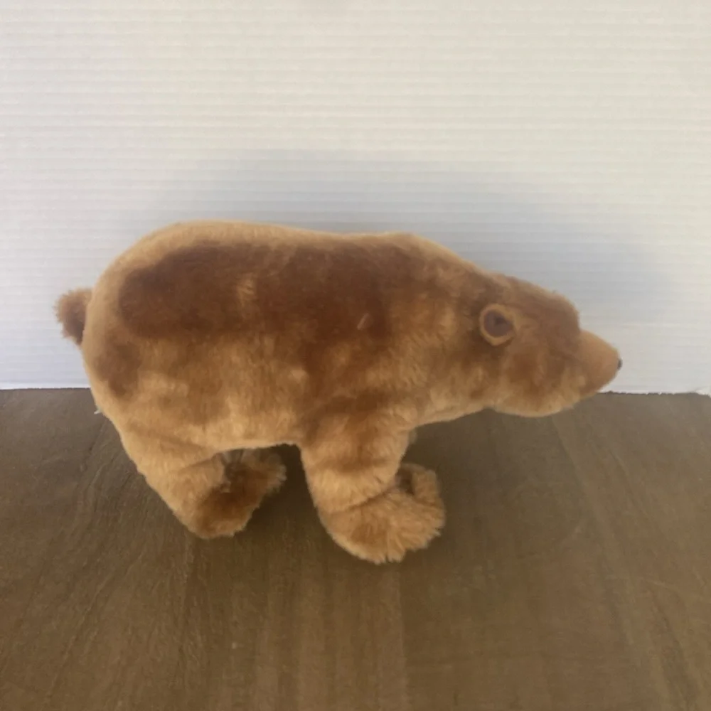 BBC Earth grizzly preowned