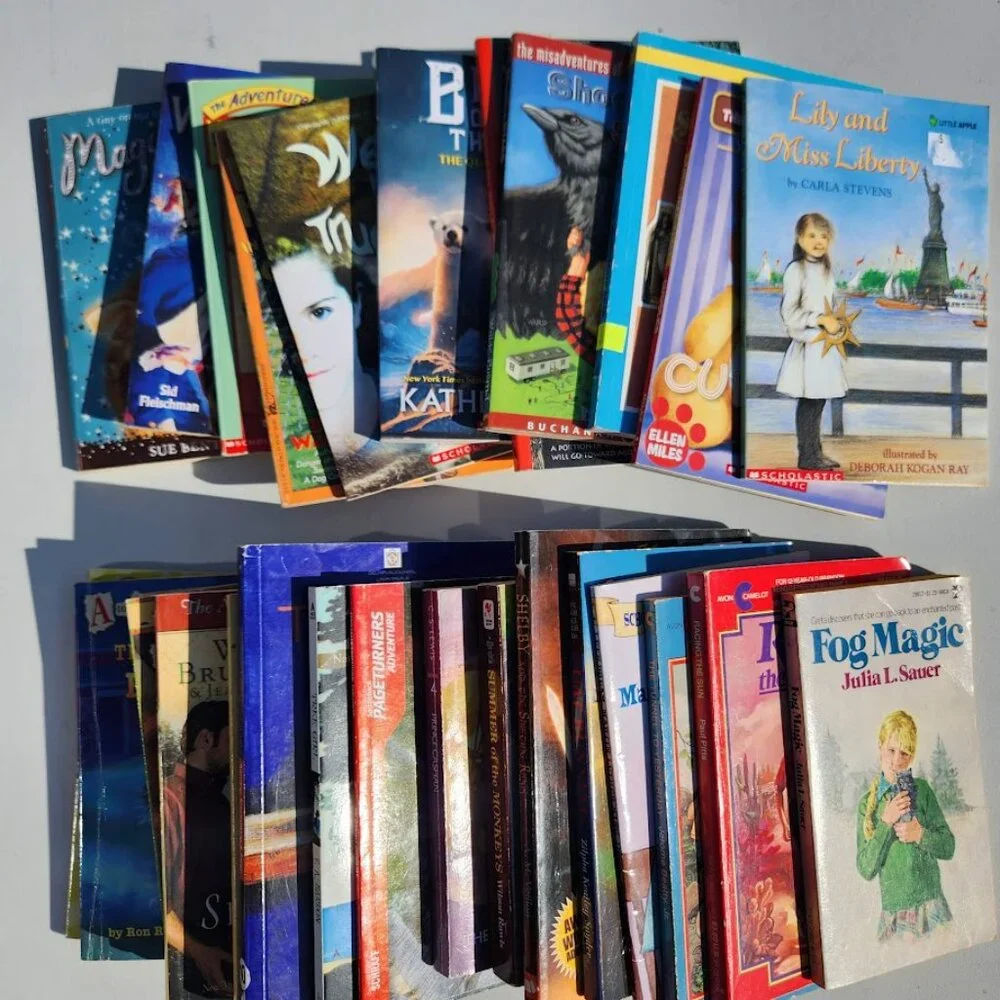 Scholastic book bundle