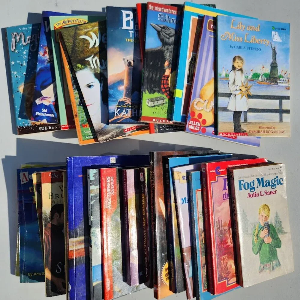 Scholastic book bundle