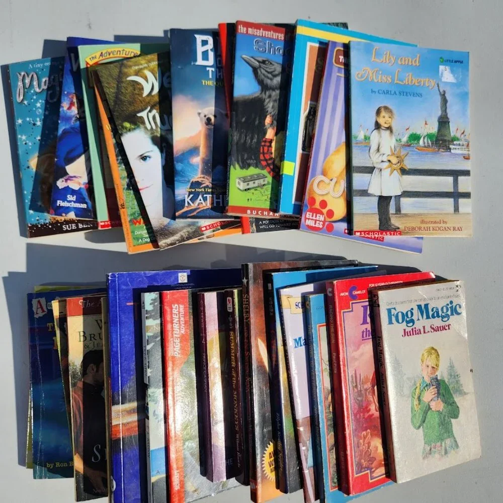 Scholastic book bundle
