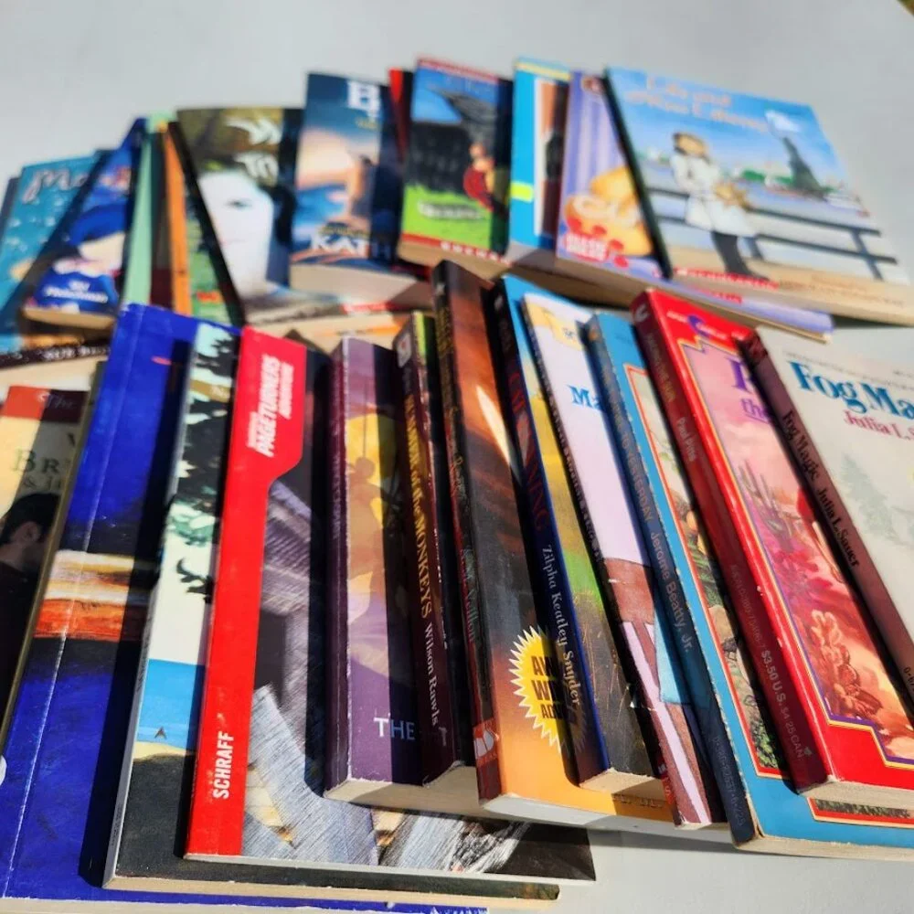 Scholastic book bundle