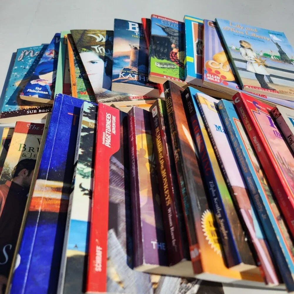Scholastic book bundle
