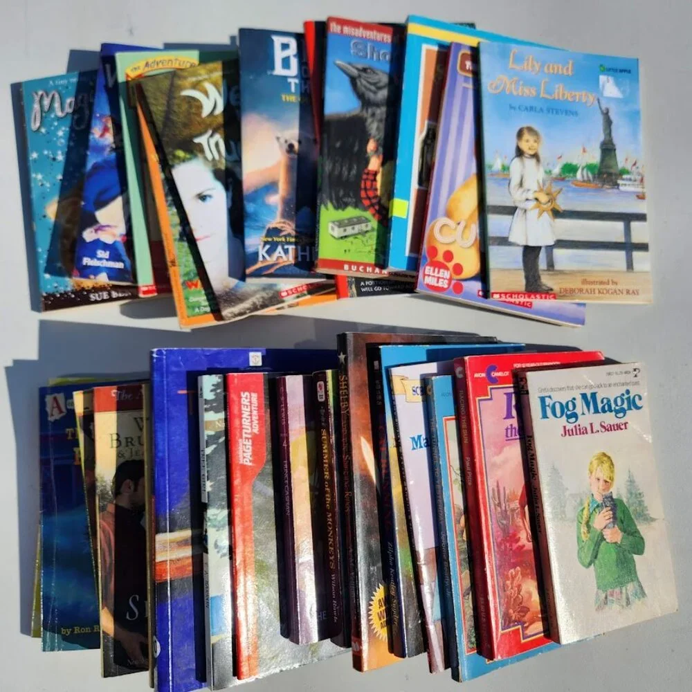 Scholastic book bundle