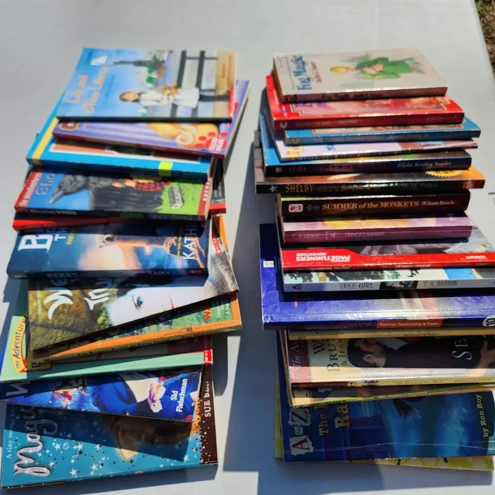 Scholastic book bundle