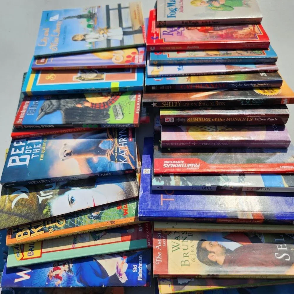 Scholastic book bundle