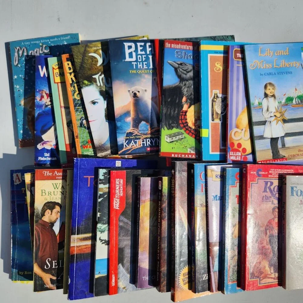 Scholastic book bundle