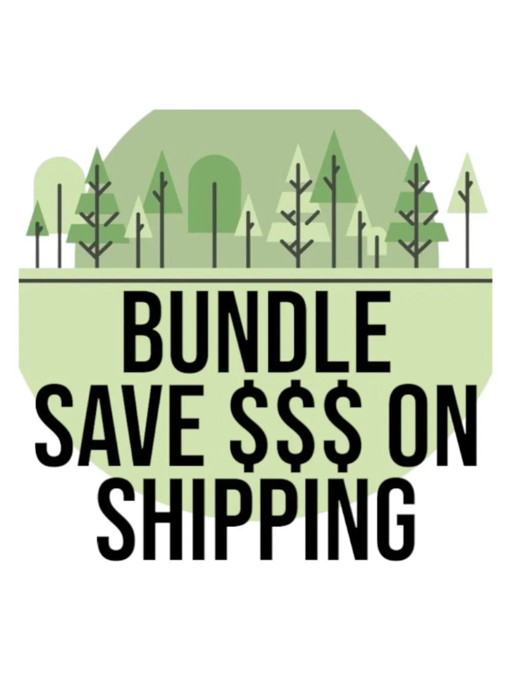 Scholastic book bundle