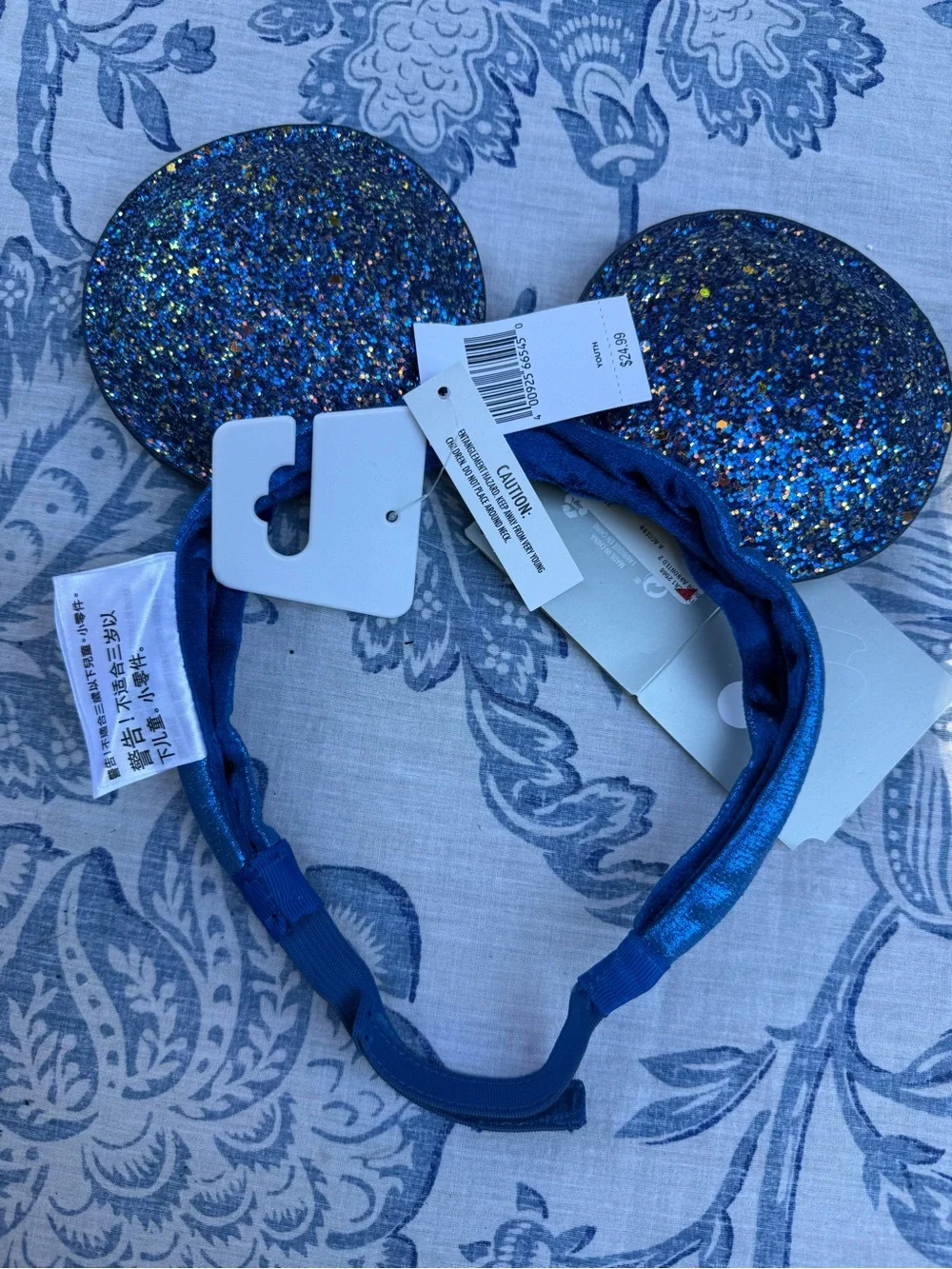 Disney park parties
