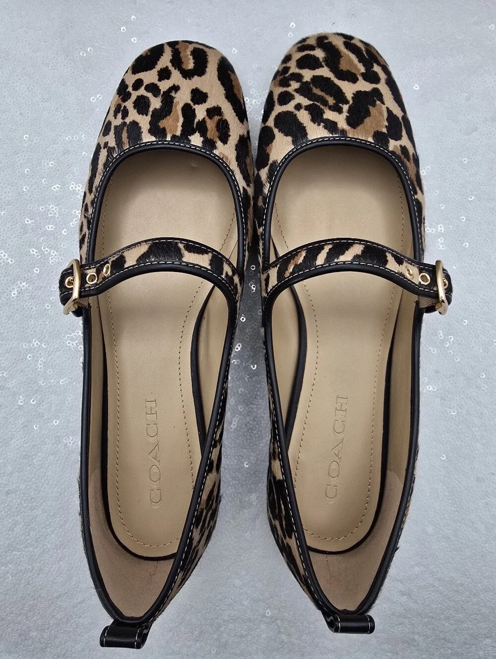 Coach rivet mary