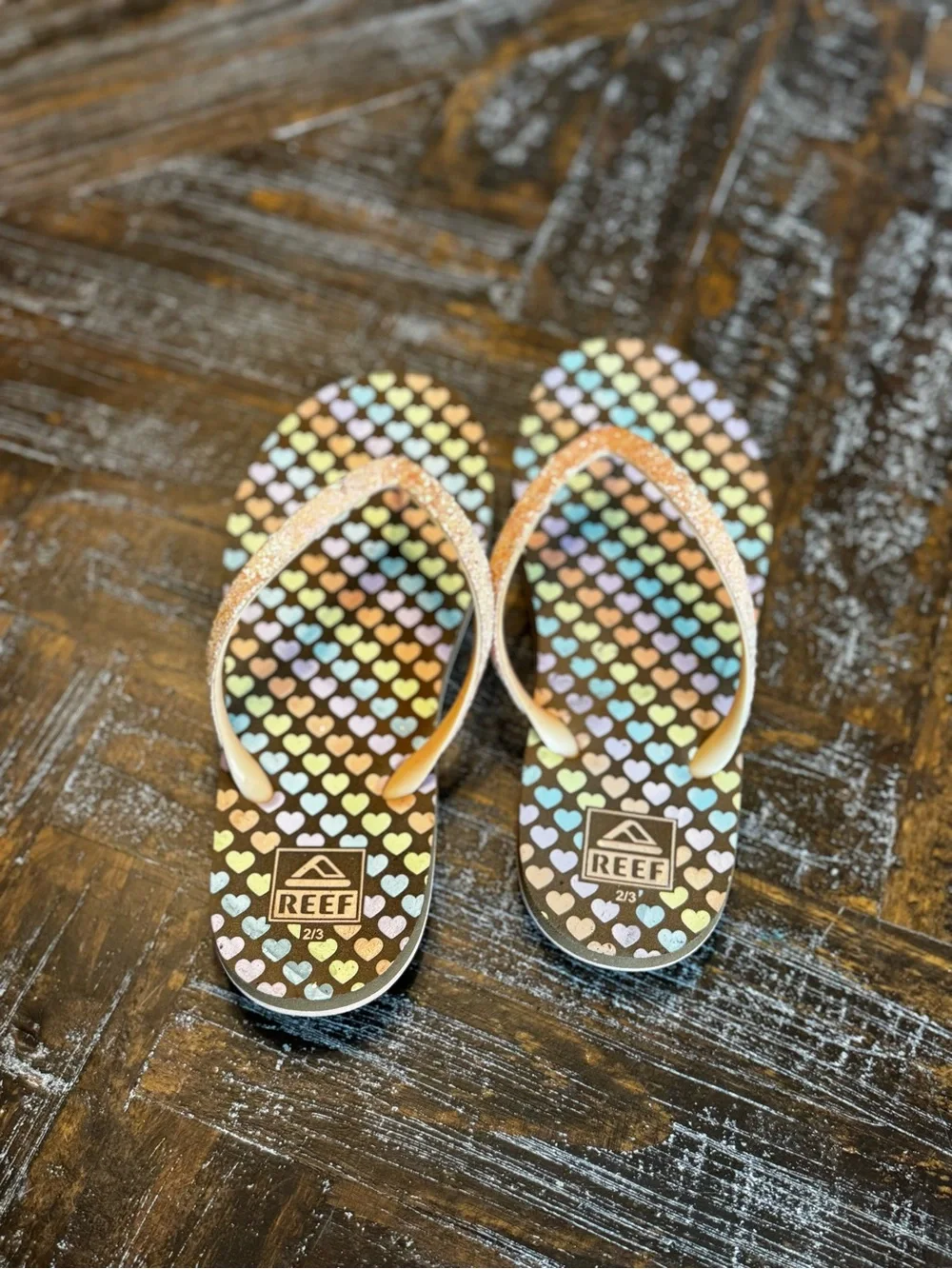 Reef 🌈 rainbow