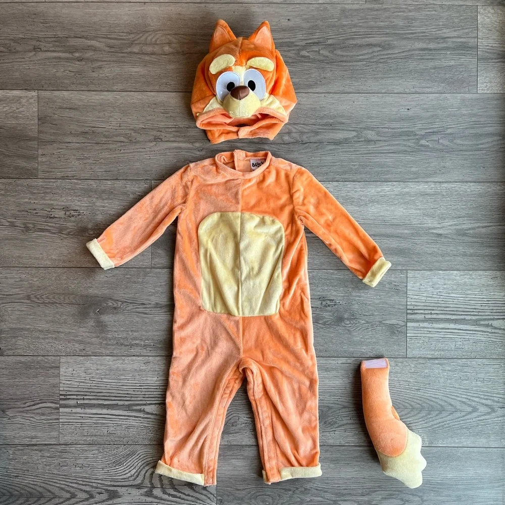 Bluey spirit halloween