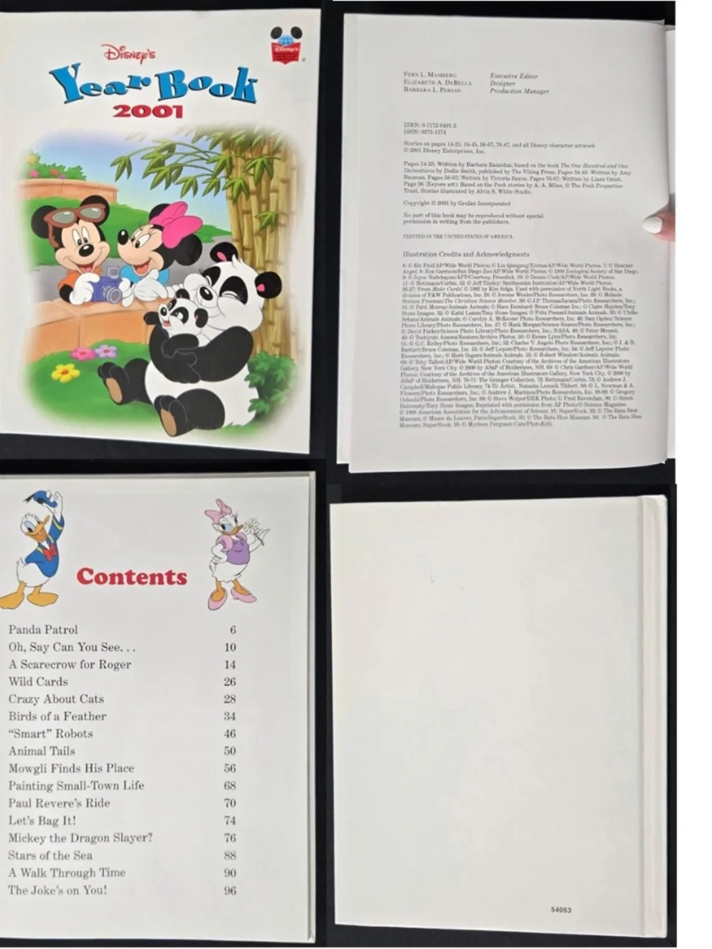 Disney packaged button