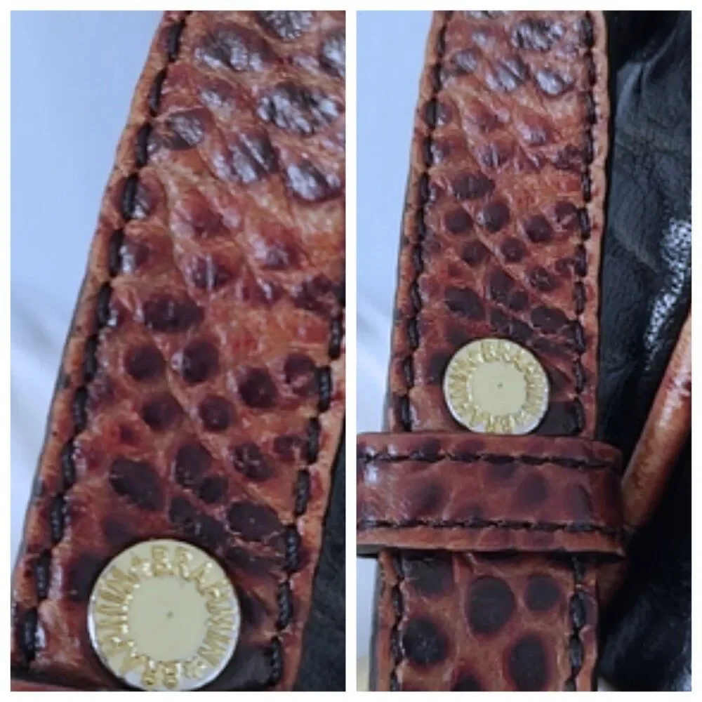 Brahmin smooth incredibly most