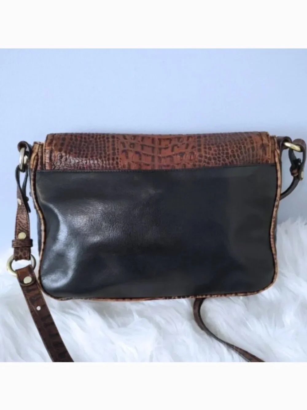 Brahmin needs beautifully rich