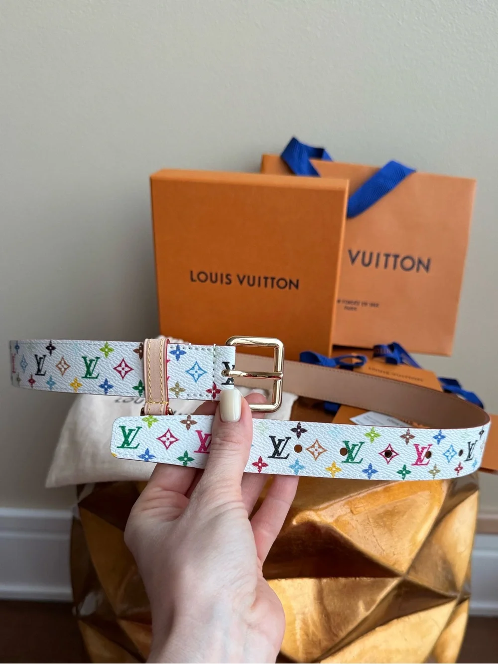 Louis Vuitton multicolor waiting