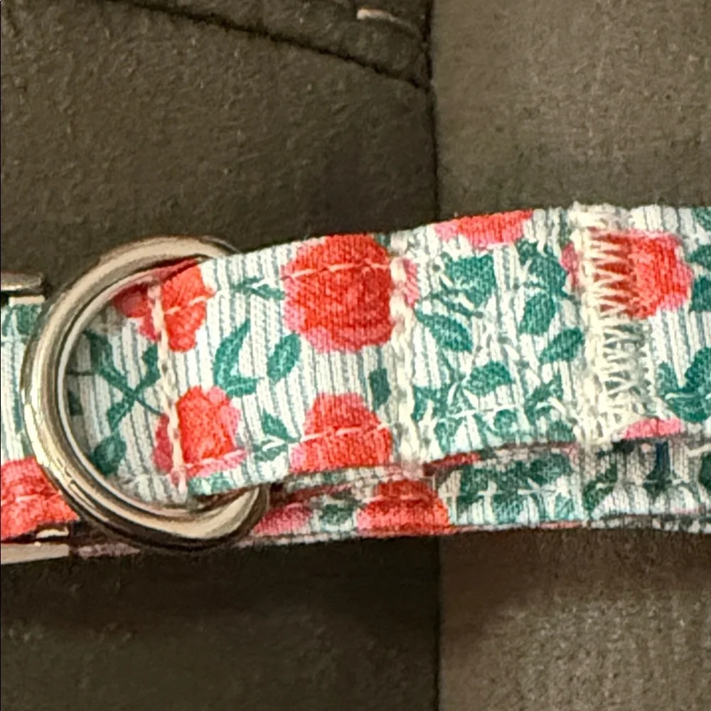 Lionet Paws stylish dog