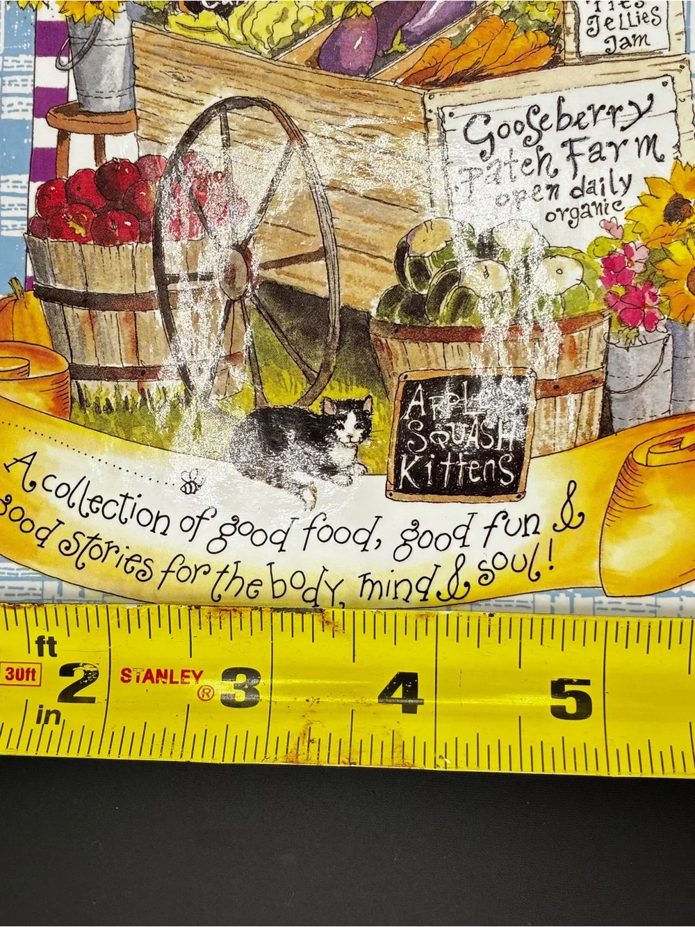 1996 Good For You! Cookbook — Light Blue Illustrated Cover