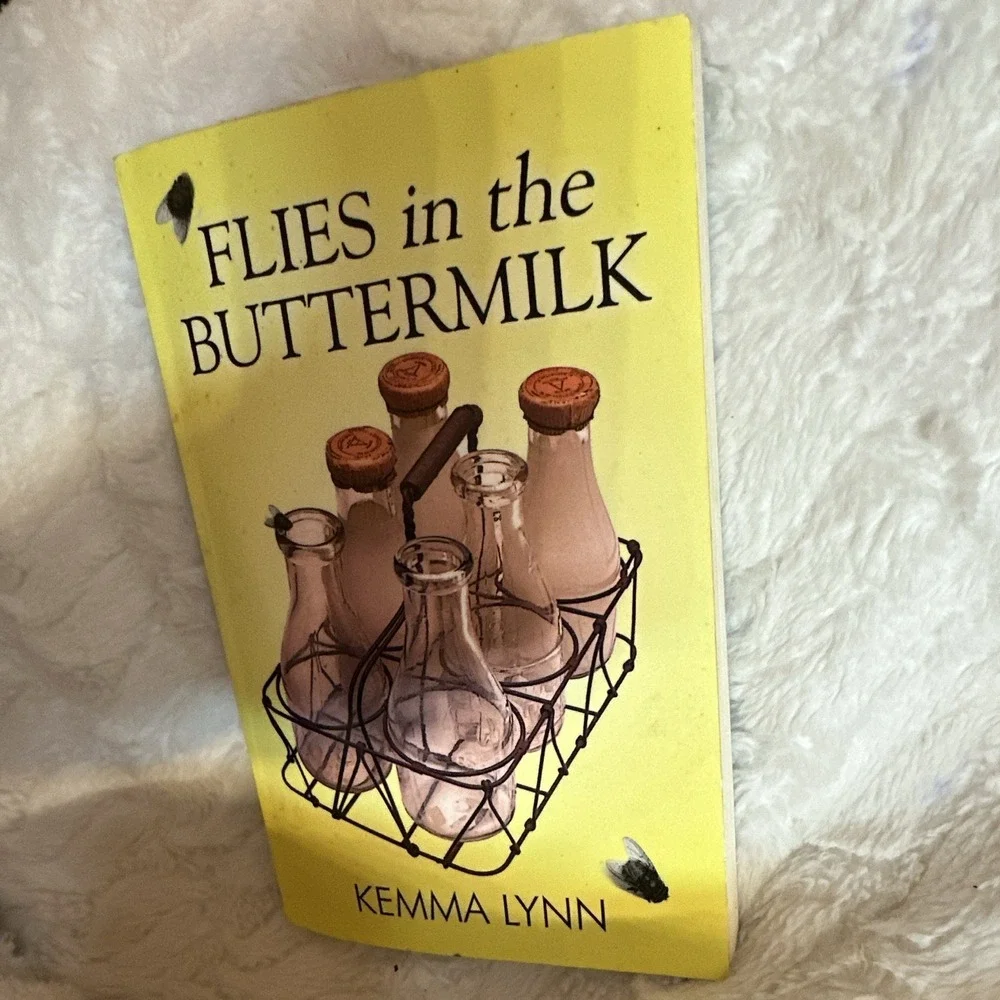 Flies in the Buttermilk by Kemma Lynn Paperback YA Fiction Novel 2000