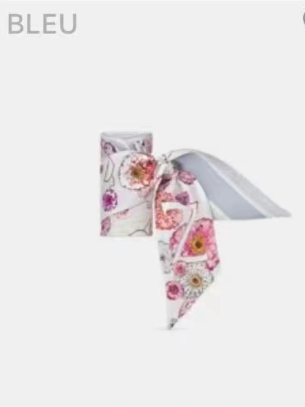 Dior authentic brand